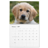 Labrador Welpen Labrador Retriever Wall 2025 Kalen Kalender (Feb 2027)