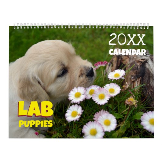 Labrador Welpen Labrador Retriever Wall 2025 Kalen Kalender (Titelbild)