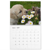 Labrador Welpen Labrador Retriever Wall 2025 Kalen Kalender (Mär 2027)