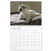Labrador Welpen Labrador Retriever Wall 2025 Kalen Kalender (Jan 2027)