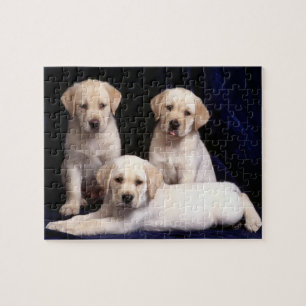 Labrador-Welpen-Puzzlespiel Puzzle