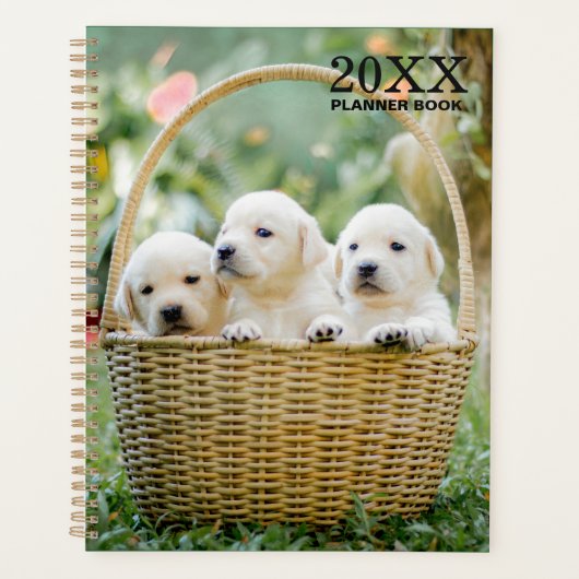 Labrador Welpen Undatiertes Monatsplanbuch Planer (Vorderseite)