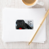 Labrador-Welpenadressen Adressaufkleber (Insitu)