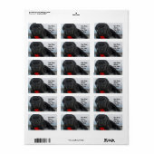 Labrador-Welpenadressen Adressaufkleber (Vorne)