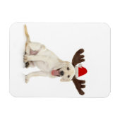 Labrador Welpenhalter Magnet (Horizontal)