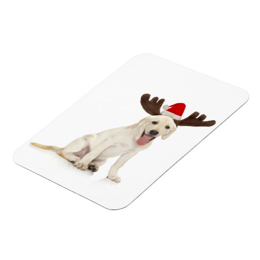 Labrador Welpenhalter Magnet (Linke Seite)