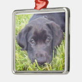 Labrador-Welpenverzierung, schwarzer Labrador Silbernes Ornament (Links)