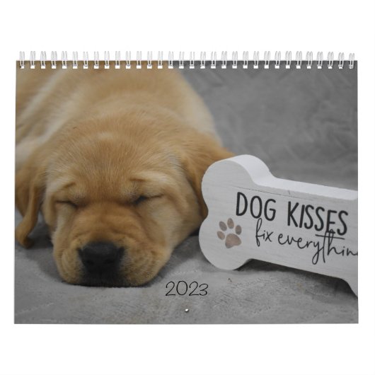 Labrador Welppies Kalender (Titelbild)