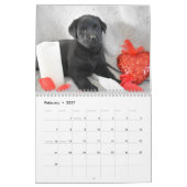 Labrador Welppies Kalender (Feb 2027)
