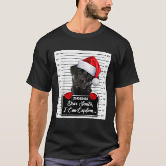 Labrador Xmas Sehr geehrter Herr Weihnachten Ich k T-Shirt