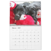 Labradorable Labrador - Schwarzer Labrador Retriev Kalender (Feb 2027)
