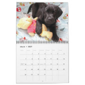 Labradorable Labrador - Schwarzer Labrador Retriev Kalender (Mär 2027)