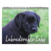 Labradorable Labrador - Schwarzer Labrador Retriev Kalender (Titelbild)