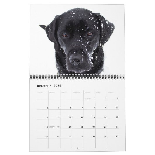 Labradorable Labrador - Schwarzer Labrador Retriev Kalender (Jan 2026)