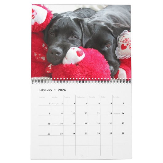 Labradorable Labrador - Schwarzer Labrador Retriev Kalender (Feb 2026)