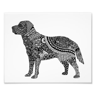 Labradordruck Fotodruck