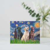 Labradoren (3) - Sternennacht Postkarte (Stehend Vorderseite)