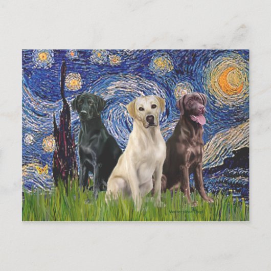 Labradoren (3) - Sternennacht Postkarte (Vorderseite)