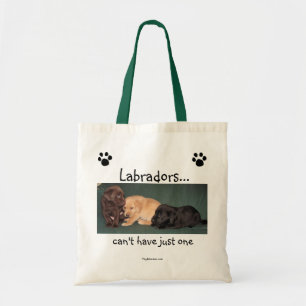 Labradors… kann gerade eine Taschen-Tasche nicht Tragetasche