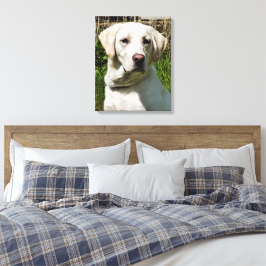 LABRADORS LEINWANDDRUCK (Insitu (Schlafzimmer))