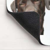 labradors mousepad (Ecke)