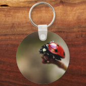 LABYBIRD SCHLÜSSELANHÄNGER (Vorderseite)