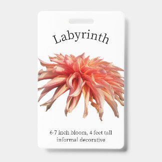 Labyrinth Dahlia ID Abzeichen Ausweis