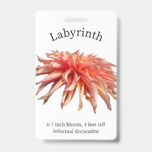 Labyrinth Dahlia ID Abzeichen Ausweis (Vorderseite)