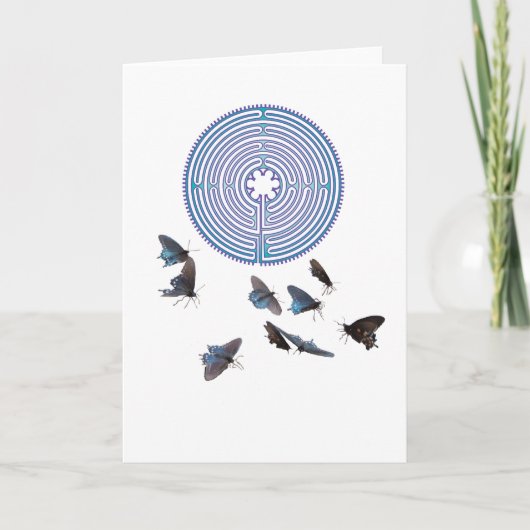 Labyrinth mit Schmetterlings-Gruß-Karte Karte (Vorderseite)