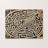 Labyrinth Puzzle (Horizontal)