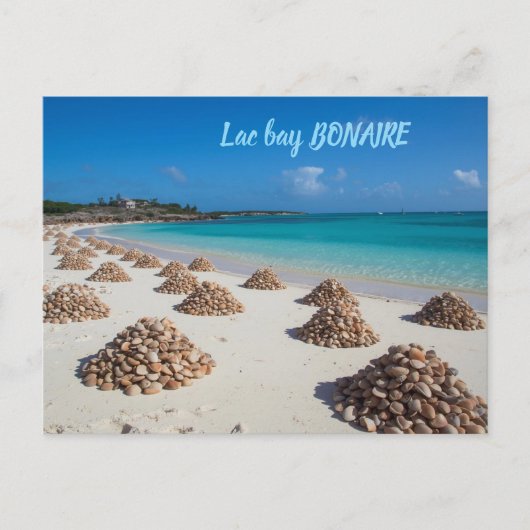 Lac bay bonaire postcard postkarte (Vorderseite)