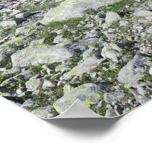 Lac Blanc Chamonix Poster (Ecke)