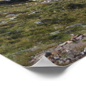 Lac Cornu Französische Alpen Poster (Ecke)