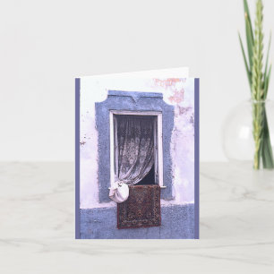 "LACE CURTAIN through WINDOW" Karte