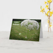 Lace Umbrella Karte (Gelbe Blume)