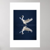 Lace Wings auf Blue Poster (Vorne)