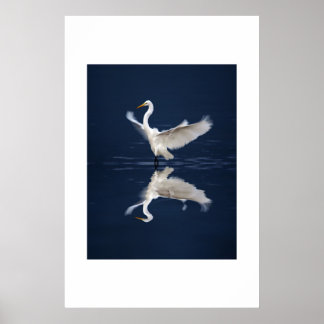 Lace Wings auf Blue Poster