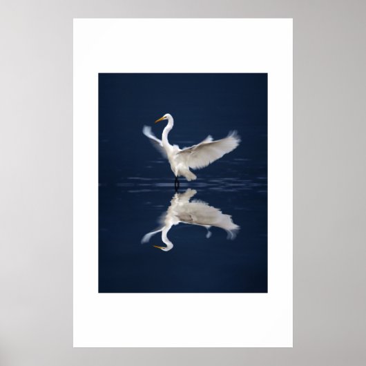 Lace Wings auf Blue Poster (Vorne)