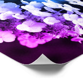 Lacecap Hydrangea Abstrakt gestrichen Poster (Ecke)