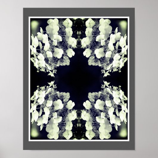 Lacecap Hydrangea Abstrakt Poster (Vorne)