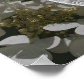 Lacecap Hydrangea Blume Erstellen Sie Ihr eigenes Poster (Ecke)