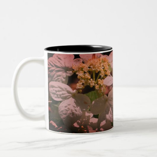 Lacecap Hydrangea Blume Personalisiert Zweifarbige Tasse (Links)