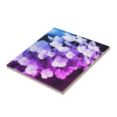 Lacecap Hydrangea Schwarz-Weiß-Farbton Fliese (Seite)