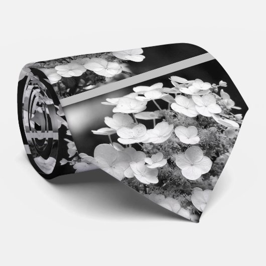 Lacecap Hydrangea Schwarz-Weiß Krawatte (Gerollt)