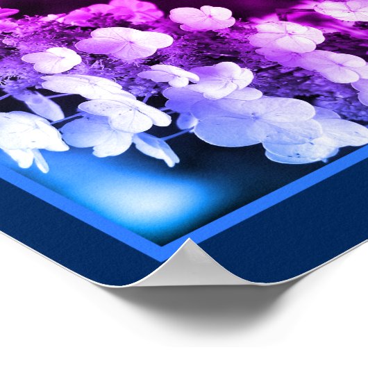 Lacecap Hydrangea Schwarz-weiß Tinted Abstrakt Poster (Ecke)