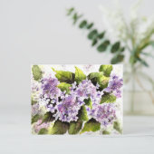 Lacecap Hydrangeas Postkarte (Stehend Vorderseite)