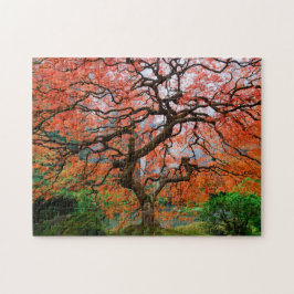 Laceleaf Maple auf Foggy Herbstvormittag in Portla Puzzle