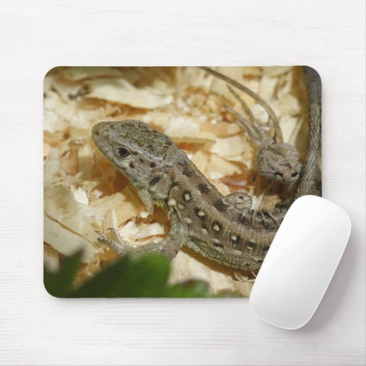Lacerta agilis mousepad (Mit Mouse)