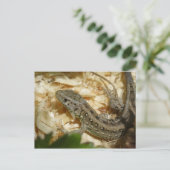 Lacerta agilis postkarte (Stehend Vorderseite)