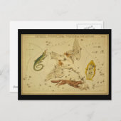 Lacerta, Cygnus, Lyra, Vulpecula und Anser Postkarte (Vorne/Hinten)